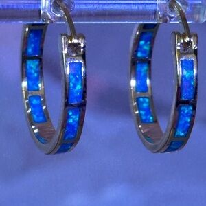 Earrings Goldtone Hoop with Moonstone Outside and Inside